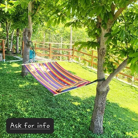 Incoronata אג'רולה