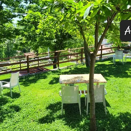 Incoronata * אג'רולה