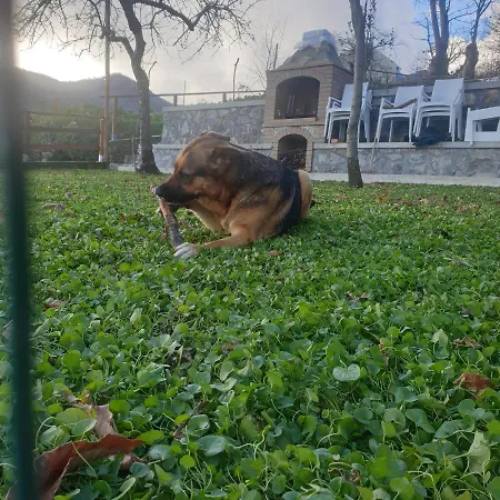 דירה Incoronata אג'רולה