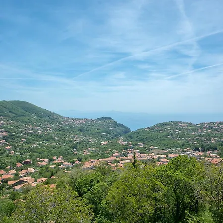 Incoronata * אג'רולה