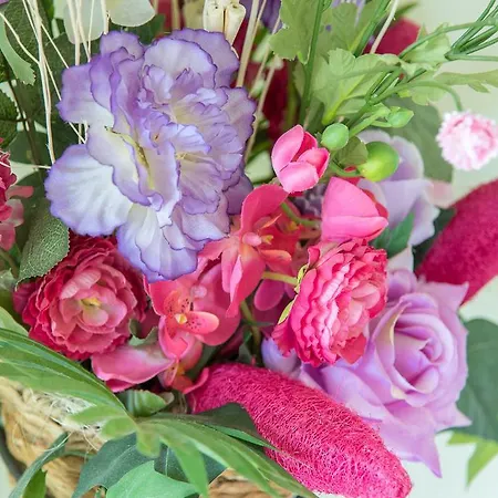 Incoronata אג'רולה