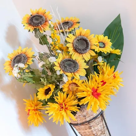 Incoronata אג'רולה